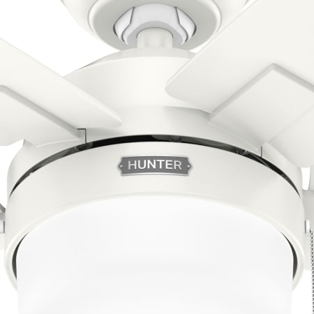 A large image of the Hunter Anisten 44 LED ES Alternate Image