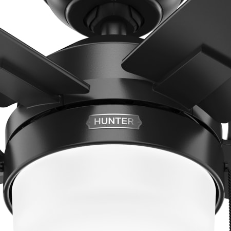 A large image of the Hunter Anisten 52 LED Alternate Image