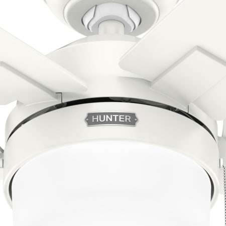 A large image of the Hunter Anisten 52 LED ES Alternate Image