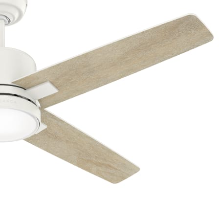 A large image of the Hunter Axial 52 LED Alternate Image