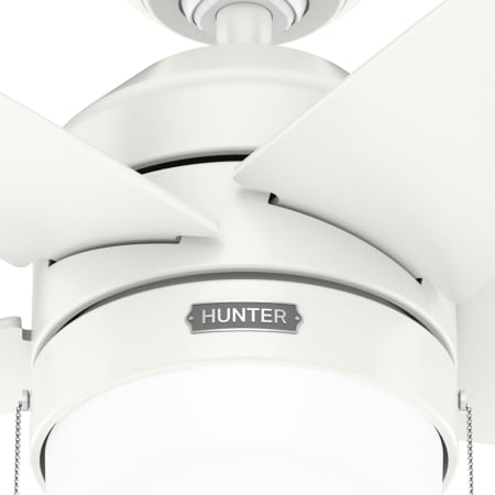 A large image of the Hunter Bardot 44 LED Alternate Image
