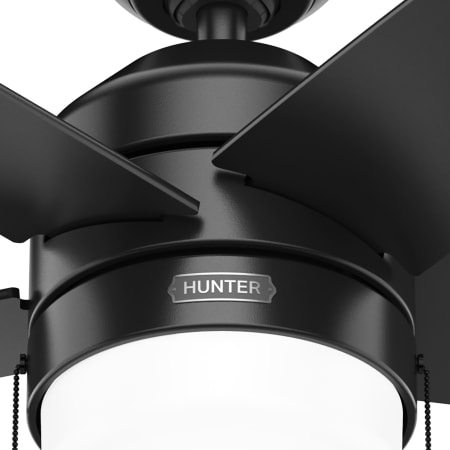 A large image of the Hunter Bardot 44 LED Alternate Image