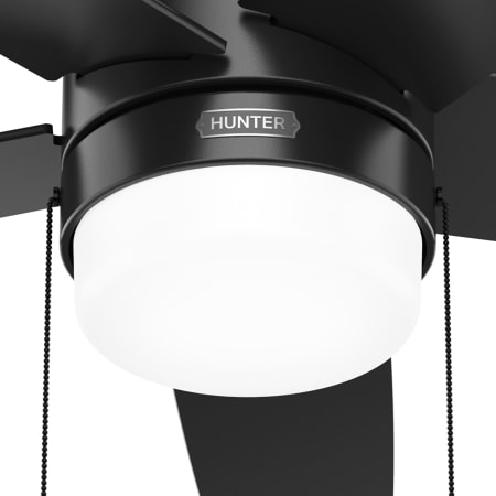 A large image of the Hunter Bardot 52 LED Alternate Image