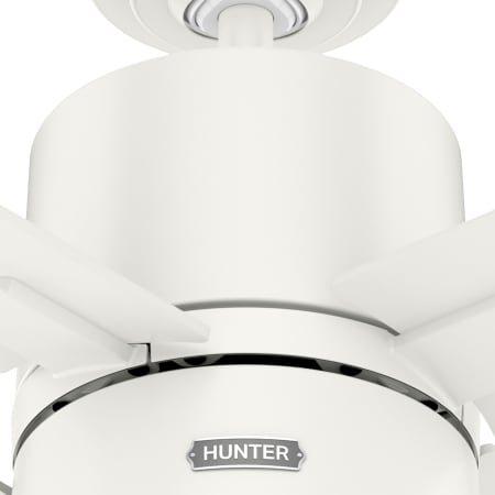 A large image of the Hunter Beck 42 LED Alternate Image