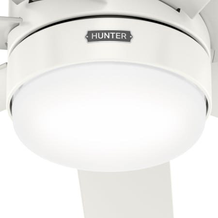 A large image of the Hunter Brazos 52 LED Alternate Image