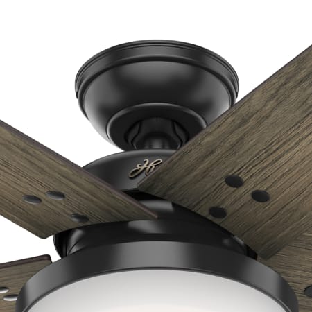 A large image of the Hunter Brenham 52 LED Housing View