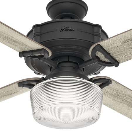 Hunter 54177 Natural Iron Brunswick 60" 4 Blade Integrated ...