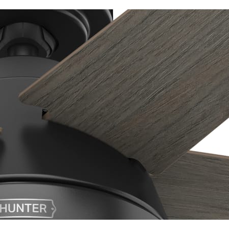 A large image of the Hunter Burroughs 44 LED Alternate Image