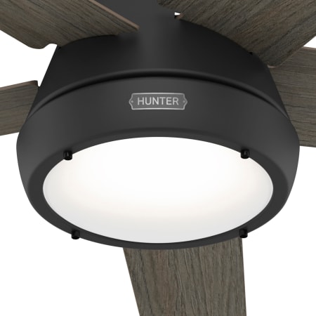 A large image of the Hunter Burroughs 52 LED Alternate Image