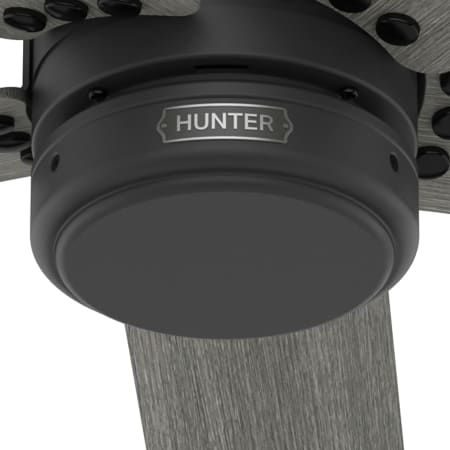 A large image of the Hunter Burton 52 Alternate Image