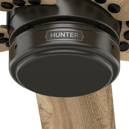 A large image of the Hunter Burton 52 Alternate Image