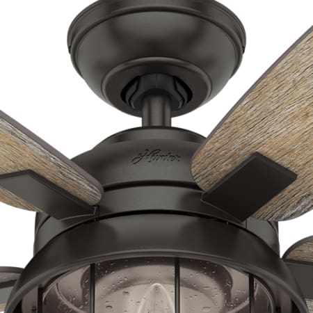 coral bay hunter led fans bellacor