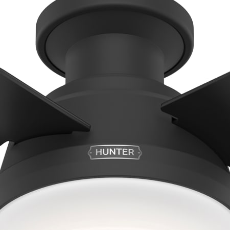A large image of the Hunter Dempsey 44 LED Low Profile Alternate Image
