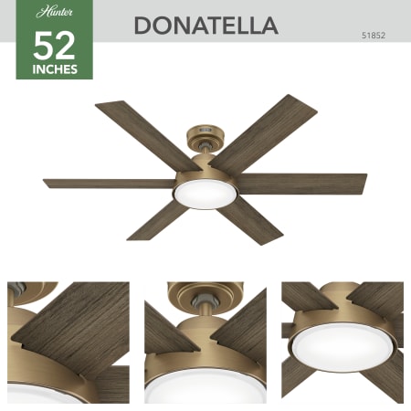 A large image of the Hunter Donatella 52 LED Alternate Image