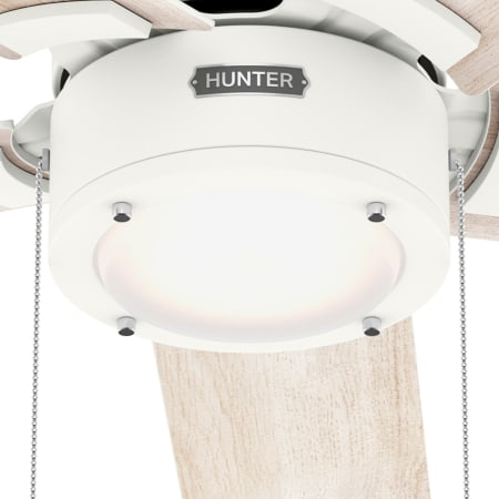 A large image of the Hunter Erling 44 LED Alternate Image