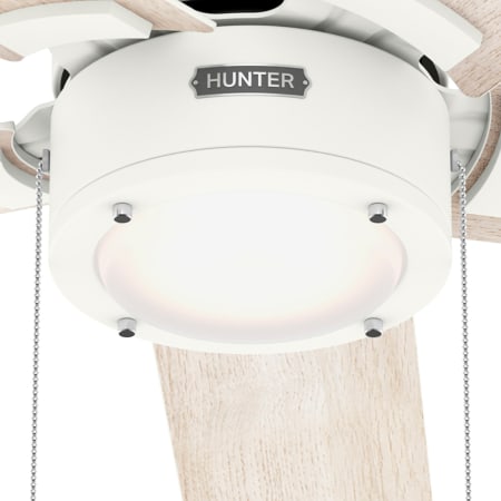 A large image of the Hunter Erling 52 LED Alternate Image