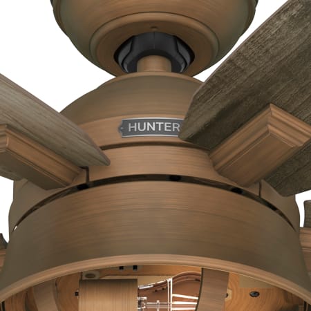 A large image of the Hunter Hampshire 52 LED Alternate Image