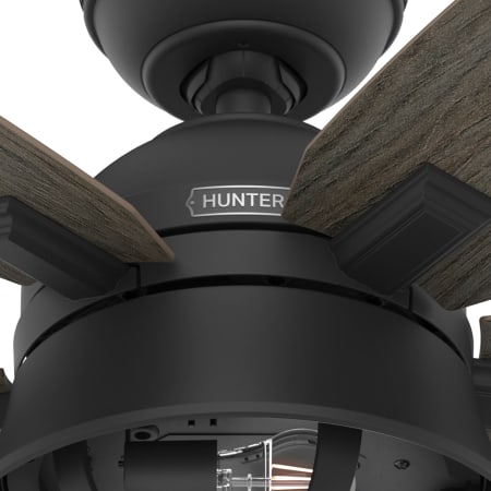 A large image of the Hunter Hampshire 52 LED Alternate Image