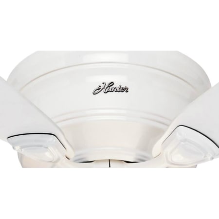 Hunter 52062 White 48 Flush Mount Energy Star Rated Indoor