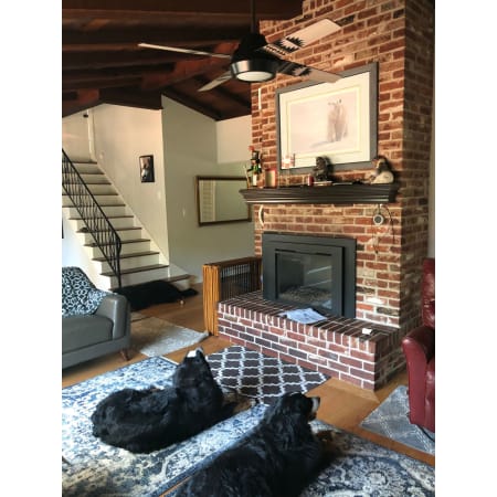 A large image of the Hunter Pendleton 54 LED Hunter Pendleton Installation with Doggies