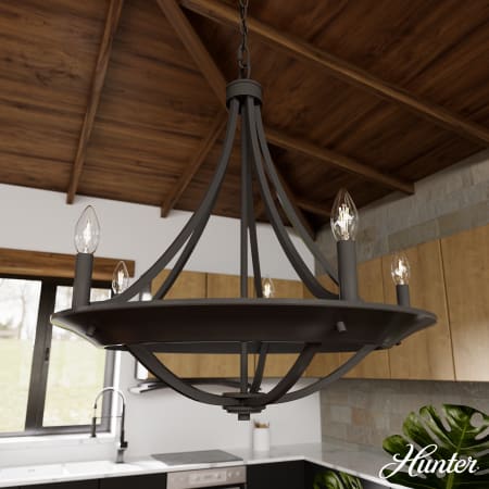 A large image of the Hunter Perch Point 24 Chandelier Alternate Image
