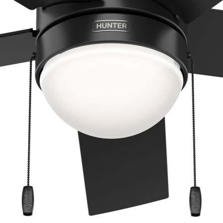 A large image of the Hunter Rogers 44 LED Alternate Image