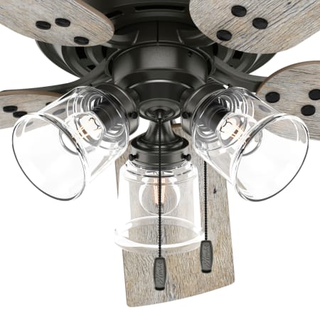 A large image of the Hunter Shady Grove 52 LED Low Profile Alternate Image