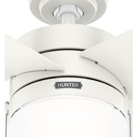 A large image of the Hunter Timpani 52 LED Hanging Alternate Image