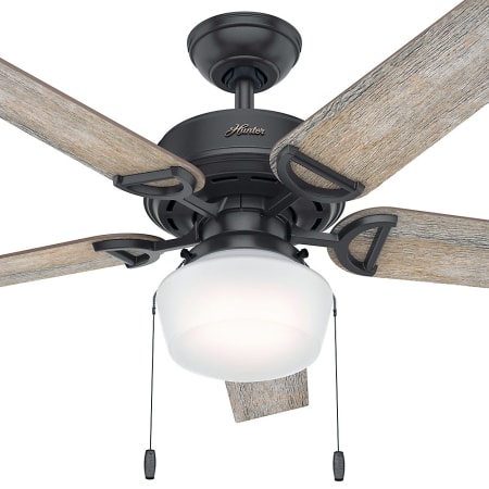 A large image of the Hunter Viola 52 LED Fan Body - Noble Bronze