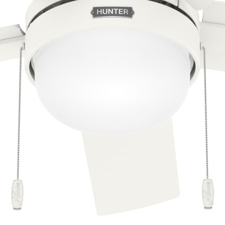 A large image of the Hunter Zeal 44 LED Alternate Image