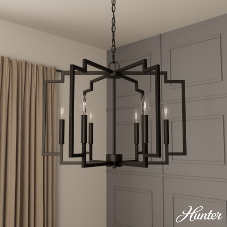 A large image of the Hunter Zoanne 24 Chandelier Alternate Image