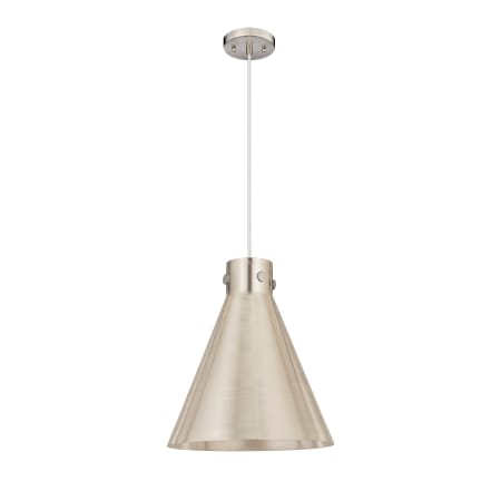 A large image of the Innovations Lighting 410-1PL-16-14 Newton Cone Pendant Alternate Image