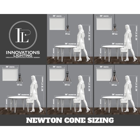 A large image of the Innovations Lighting 411-1S-14 Newton Alternate Image