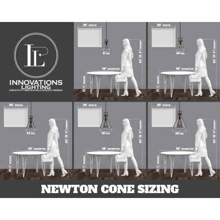 A large image of the Innovations Lighting 411-1SL-19-14 Newton Cone Pendant Alternate Image