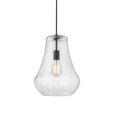 A large image of the Innovations Lighting 491-1P-16-12 Fairfield Pendant Matte Black / Seedy