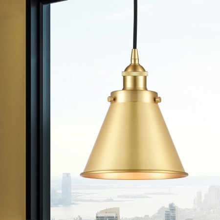 A large image of the Innovations Lighting 616-1PH-10-8 Appalachian Pendant Alternate Image