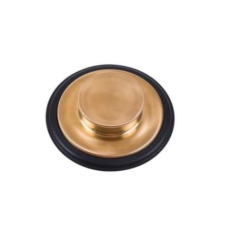 A large image of the InSinkErator STP Brushed Bronze