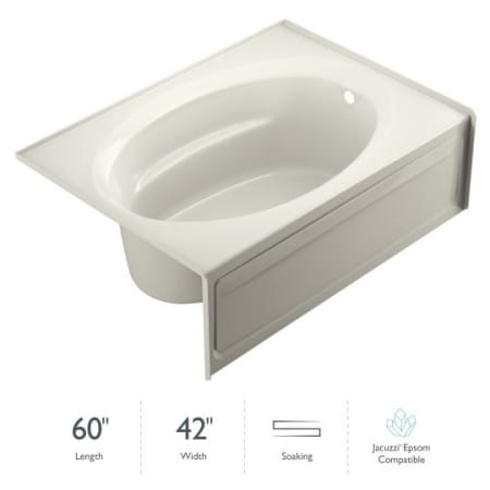 A large image of the Jacuzzi J4S6042 BRX XRS Oyster
