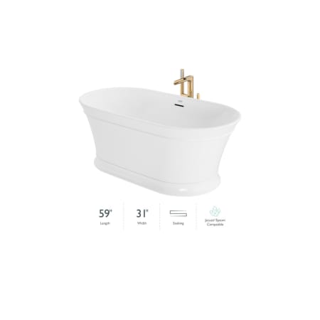 A large image of the Jacuzzi SNZ5931BCXXXX White / Brushed Bronze