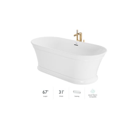 A large image of the Jacuzzi SNZ6731BCXXXX White / Brushed Bronze