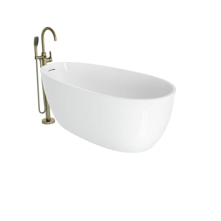 A large image of the Jacuzzi SR5930BUXXXX White / White Drain / Brushed Bronze Faucet