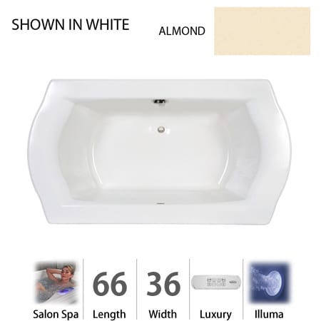A large image of the Jacuzzi SAL6636 CCR 4IH Almond