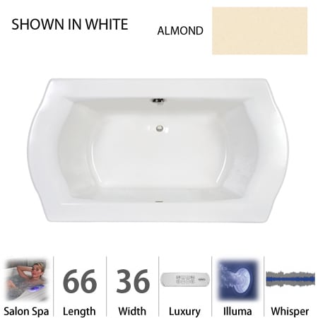 A large image of the Jacuzzi SAL6636 CCR 4IW Almond