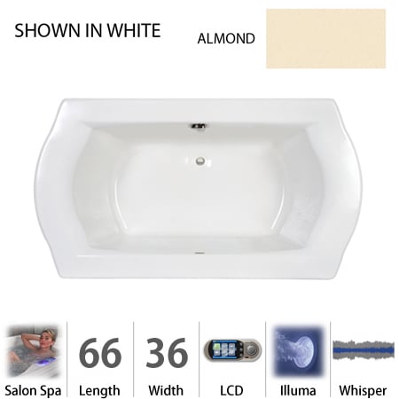 A large image of the Jacuzzi SAL6636 CCR 5IW Almond