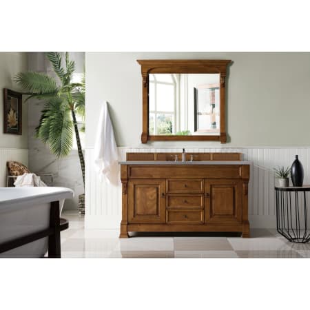 A large image of the James Martin Vanities 147-114-531-3GEX Alternate Image