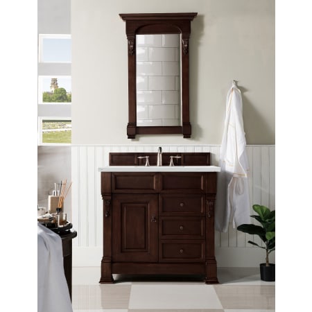 A large image of the James Martin Vanities 147-114-556-3ENC Alternate Image