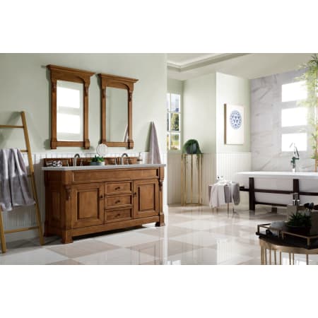 A large image of the James Martin Vanities 147-114-561-3ESR Alternate Image