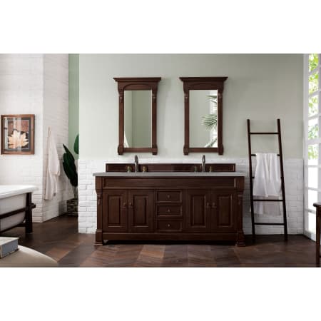 A large image of the James Martin Vanities 147-114-571-3GEX Alternate Image