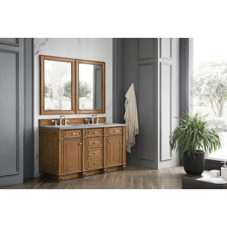 A large image of the James Martin Vanities 157-V60D-3GEX Alternate Image