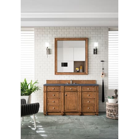 A large image of the James Martin Vanities 157-V60S-3CSP Saddle Brown